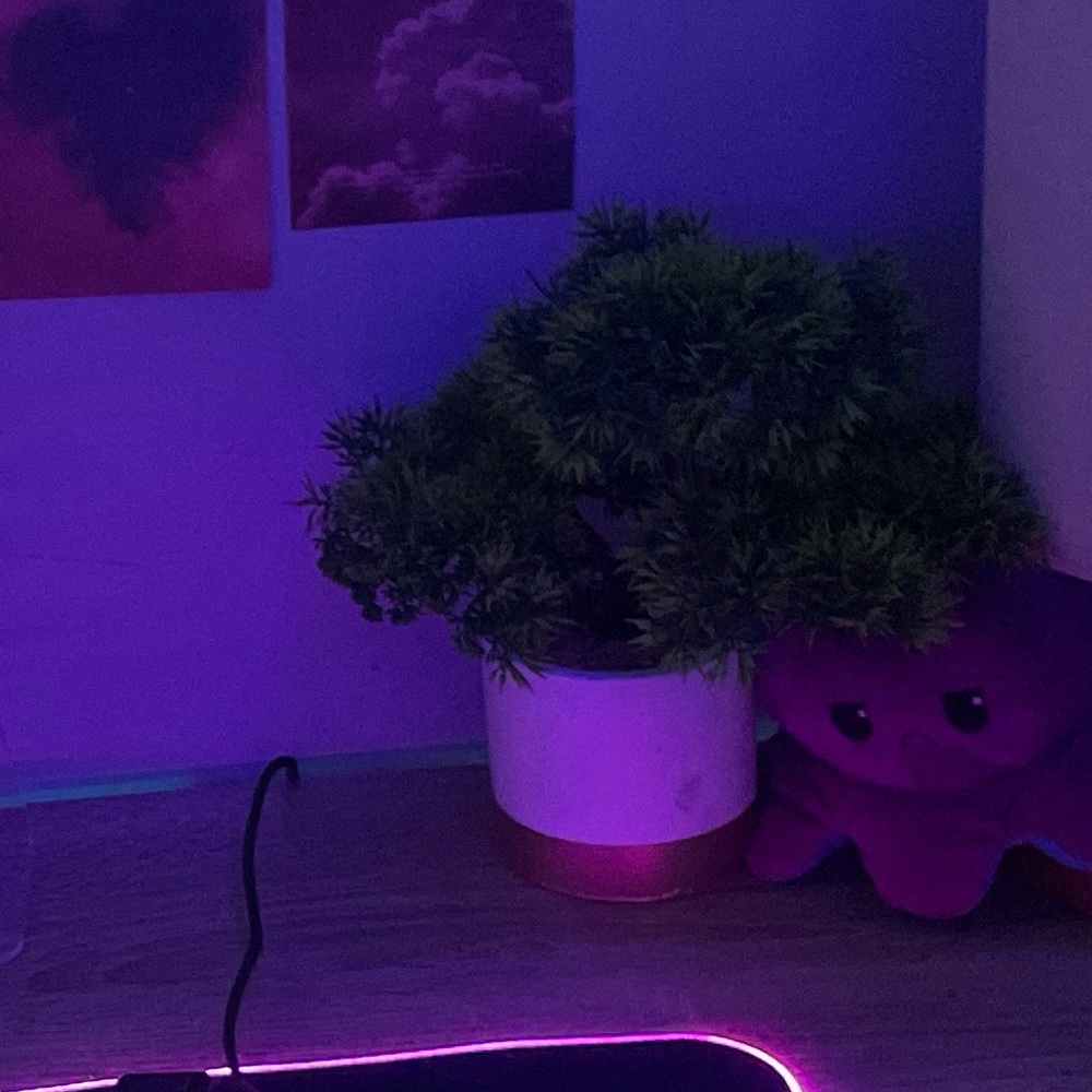 Fake Plant / Small Tree, in a white holder